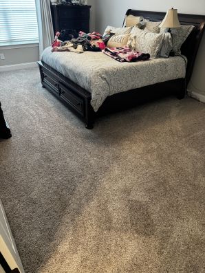 Carpet Cleaning in Nashville, TN (1)