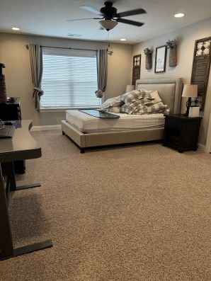 Carpet Cleaning in Nashville, TN (1)