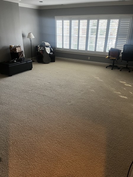 Carpet Cleaning in Nashville, TN (1)