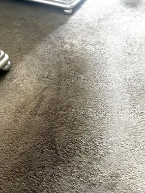 Before & After Carpet Cleaning in Nashville, TN (1)