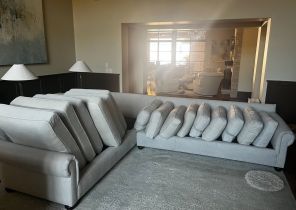 Upholstery Cleaning in Nashville, TN (2)