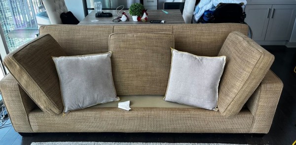 Upholstery Cleaning in Nashville, TN (1)