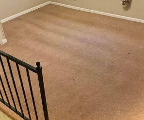 Before & After Carpet Cleaning in Nashville, TN (2)