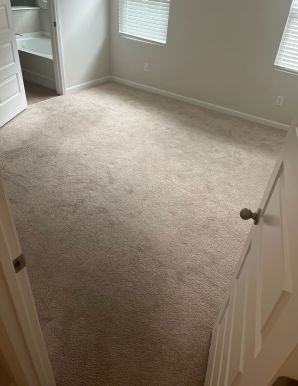 Before & After Carpet Cleaning in Nashville, TN (1)