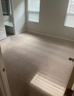 Before & After Carpet Cleaning in Nashville, TN (2)