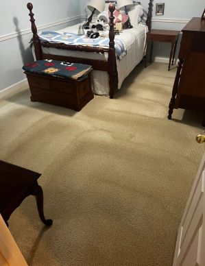 Before & After Carpet Cleaning in Nashville, TN (2)